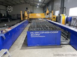 MicroStep MG 6001.15PrkGB+CH500P