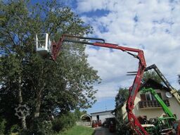 Hinowa GOLDLIFT 14.70 - Raupenbühne - Benzin+Elektro