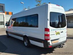 MERCEDES-BENZ Sprinter 516, Daily, Crafter