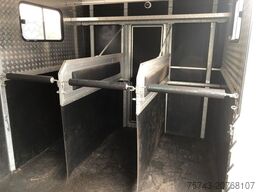 IVECO M752 3-4 Pferde kl. Wohnung.