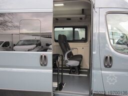 Fiat Minibus 16+ 1 Sitzer
