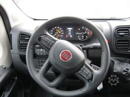 Fiat Minibus 16+ 1 Sitzer