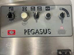 Treif Pegasus