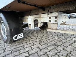 Giroudon Giroudon Giroudon