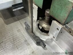 Panhans 231
