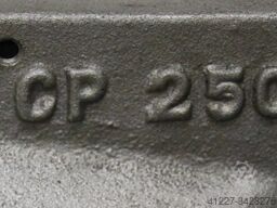 Raja CP-250