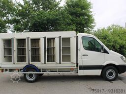 MERCEDES-BENZ Sprinter310 -33 °C 5+5 Türen Euro 5