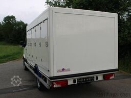 MERCEDES-BENZ Sprinter310 -33 °C 5+5 Türen Euro 5