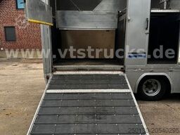 MERCEDES-BENZ 817 4x2 4Pferdetransporter