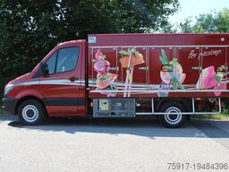 MERCEDES-BENZ Sprinter 310 Cold Car 5+5 Türen -33°C ATP 5/28