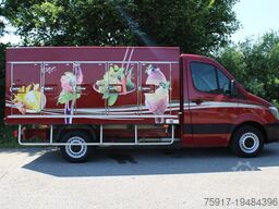 MERCEDES-BENZ Sprinter 310 Cold Car 5+5 Türen -33°C ATP 5/28