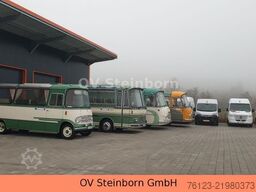 Opel Movano + Fiat Ducato 9 Sitzer Flexiboden