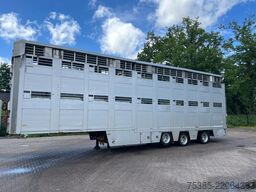 Transporte de ganado Berdex Livestock Type 2