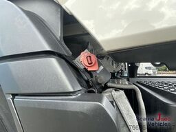 Scania R 460 A4x2NA DIFF-L RETARDER PARK AIRCO
