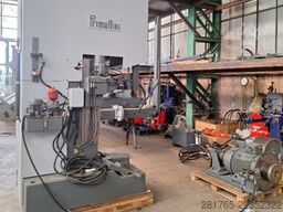 Primultini 1300