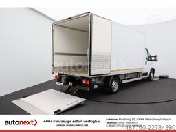 FIAT Ducato Maxi ThermoKing V300MAX -20° Tief LBW