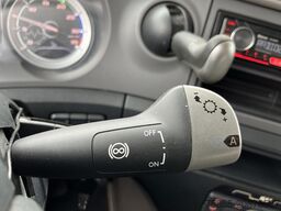 DAF CF 260 FA / Carrier Koeler - 30 gr / Chereau Fr...