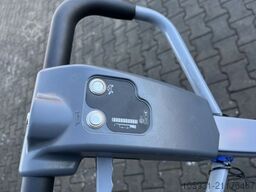 *Sonstige Ameise SMP113