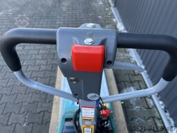 *Sonstige Ameise SMP113