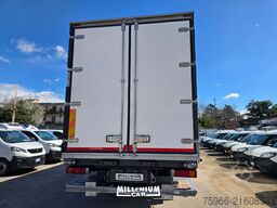 Iveco STRALIS 260S36 CELLA 8,60 FRC EURO 6 SPO