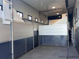 Scania P250 Horse Truck