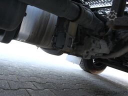 Daf XF  480 SC Retarder   Standklima  Kühlbox