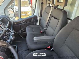 FIAT FIAT DUCATO 2023 CELLA 3,10 FRC