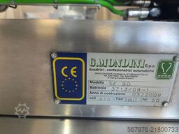 G. Mondini S.p.a. SF 90 Inline Sealing Machine