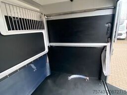 RENAULT Master STX 5 Sitzer Haras ex. Lang Automatik