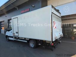 MERCEDES-BENZ Sprinter 516 / Frigo / Thermo King Cool/Wenig Km