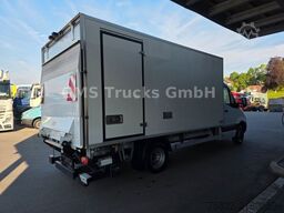 MERCEDES-BENZ Sprinter 516 / Frigo / Thermo King Cool/Wenig Km