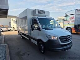 MERCEDES-BENZ Sprinter 516 / Frigo / Thermo King Cool/Wenig Km