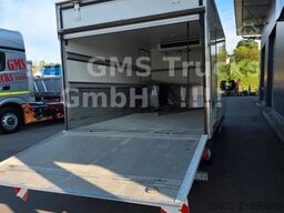 MERCEDES-BENZ Sprinter 516 / Frigo / Thermo King Cool/Wenig Km