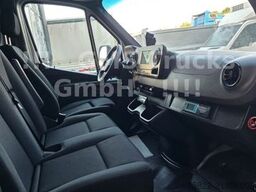 MERCEDES-BENZ Sprinter 516 / Frigo / Thermo King Cool/Wenig Km