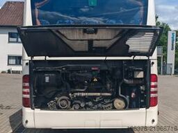 MERCEDES-BENZ Mercedes Benz Intouro
