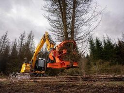 Westtech Woodcracker C350 Fällgreifer Baumschere