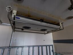MAN TGM 18.290 BL+CHEREAU+CARRIER SUPRA 1150 MT