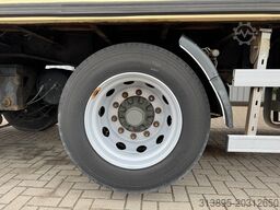 Burg 2-Axle Flowers/Blumen/Bloemen Heater, Webasto, ...