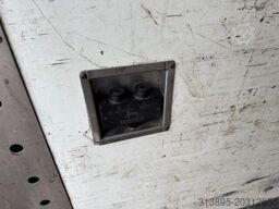 Burg 2-Axle Flowers/Blumen/Bloemen Heater, Webasto, ...