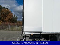 SCHMITZ CARGOBULL Doppelstock Blumenbreite ¤ 689 e