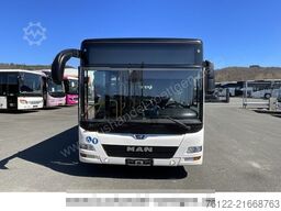 MAN A 23 Lions City G / O 530 G Citaro