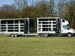 IVECO Daily  Speditionszug mit Anhänger Planenaufbau