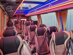 MERCEDES-BENZ 519 und 517 Glasdach XXL 20 Sitze Stock