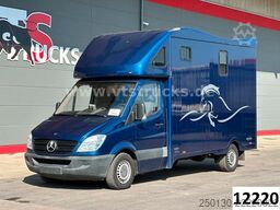 MERCEDES-BENZ Sprinter 319 CDi KHG Mystic Pferdetransporter