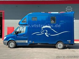 MERCEDES-BENZ Sprinter 319 CDi KHG Mystic Pferdetransporter