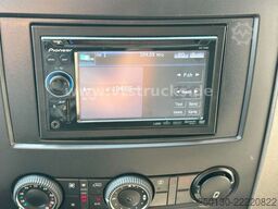 MERCEDES-BENZ Sprinter 319 CDi KHG Mystic Pferdetransporter