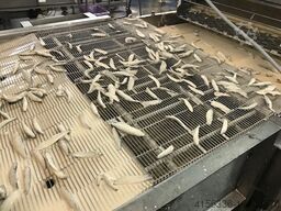 Koppens 900mm Breader