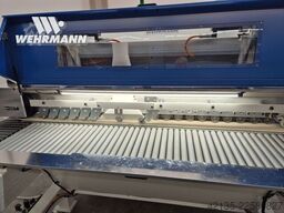 WEHRMANN WT-38/1040