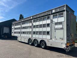 Pezzaioli 1/2/3 Livestock Type 2 Perfect condition