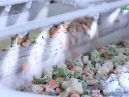 Air Products IQF Freezer Stikstofvriezer – Freshline